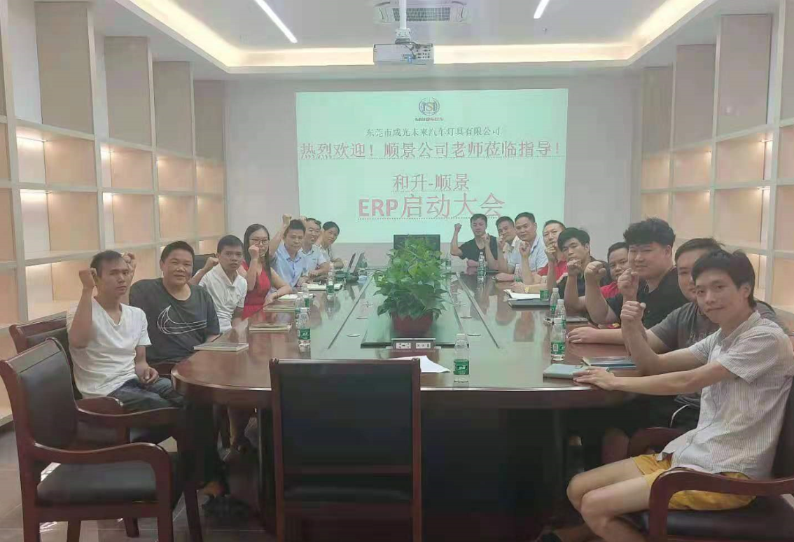 承前启后，智造先行!和升汽车照明公司携手开云体育-开云（中国）一站式服务官方网站软件打造数智管理